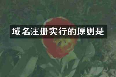 域名注册实行的原则是
