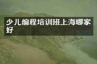 少儿编程培训班上海哪家好