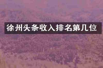 徐州头条收入排名第几位