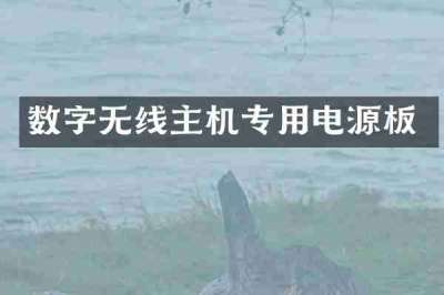 数字无线主机专用电源板