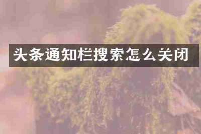 头条通知栏搜索怎么关闭