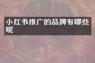 小红书推广的品牌有哪些呢