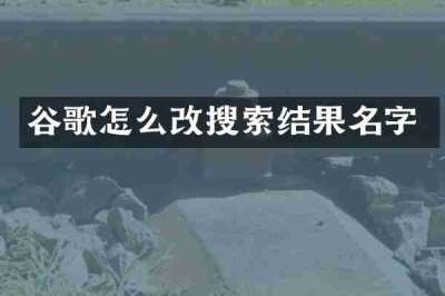 谷歌怎么改搜索结果名字