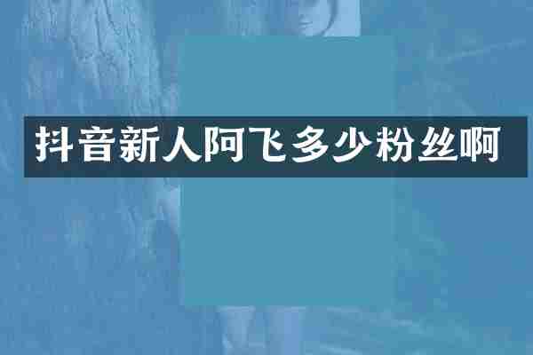 抖音新人阿飞多少粉丝啊