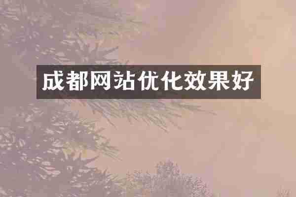 成都网站优化效果好