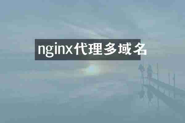 nginx代理多域名