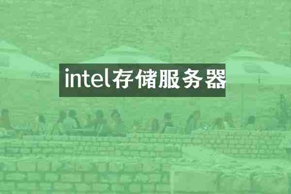 intel存储服务器