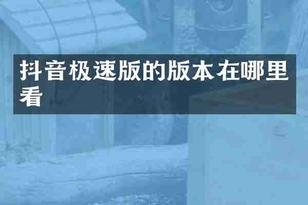 抖音极速版的版本在哪里看