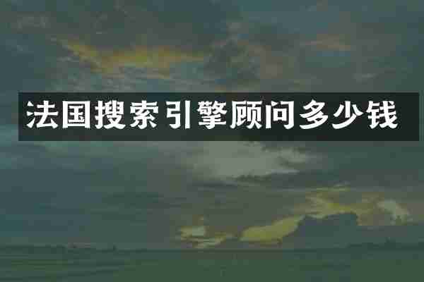法国搜索引擎顾问多少钱