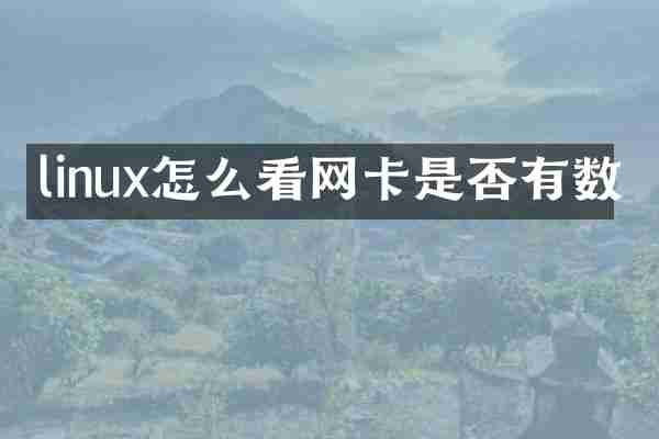 linux怎么看网卡是否有数