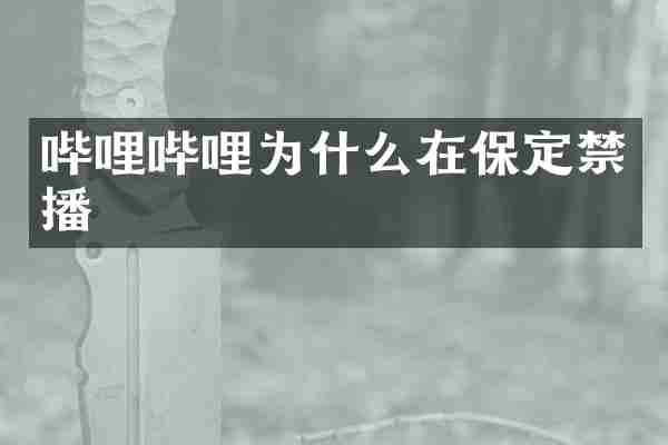 哔哩哔哩为什么在保定