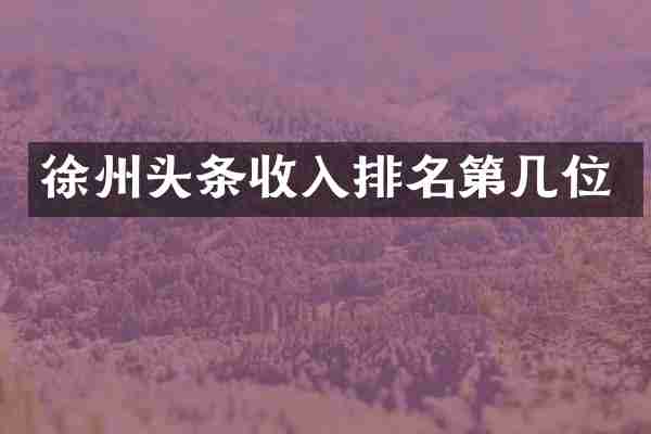 徐州头条收入排名第几位