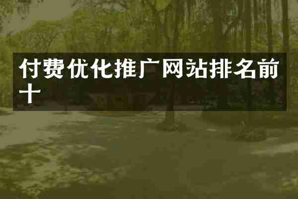 付费优化推广网站排名前十