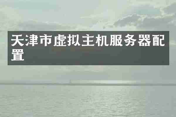 天津市虚拟主机服务器配置