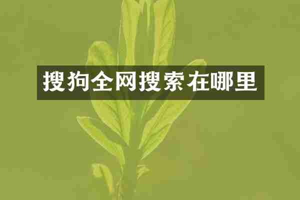 搜狗全网搜索在哪里