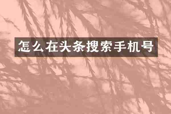 怎么在头条搜索手机号