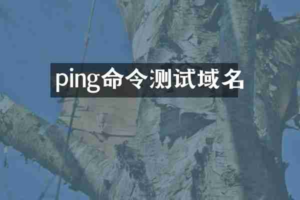 ping命令测试域名