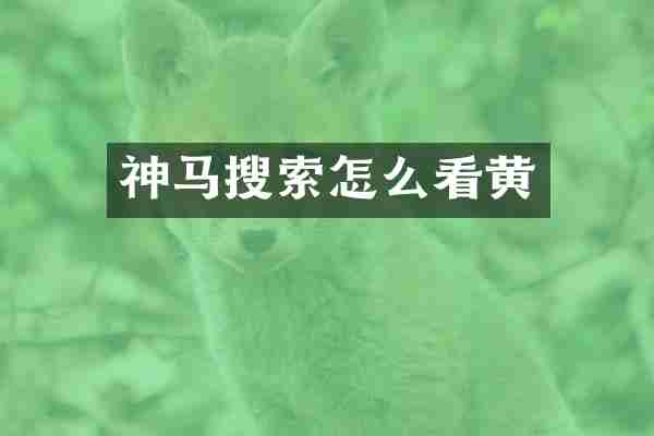 神马搜索怎么