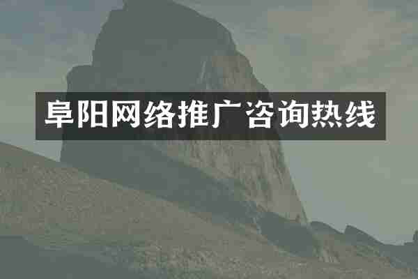 阜阳网络推广咨询热线