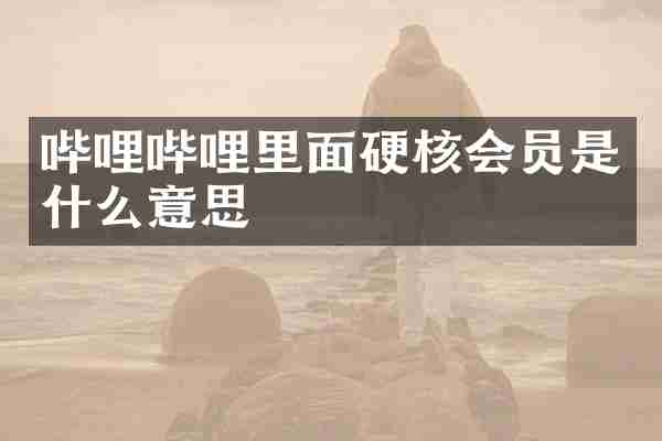 哔哩哔哩里面硬核会员是什么意思