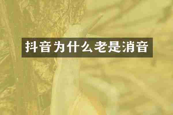 抖音为什么老是消音