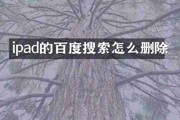 ipad的百度搜索怎么删除