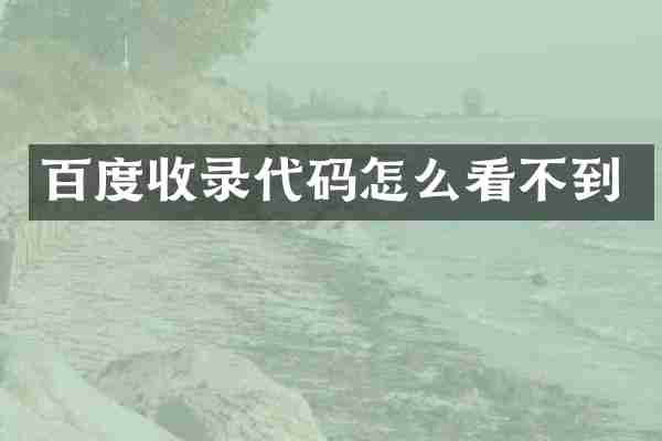 百度收录代码怎么看不到