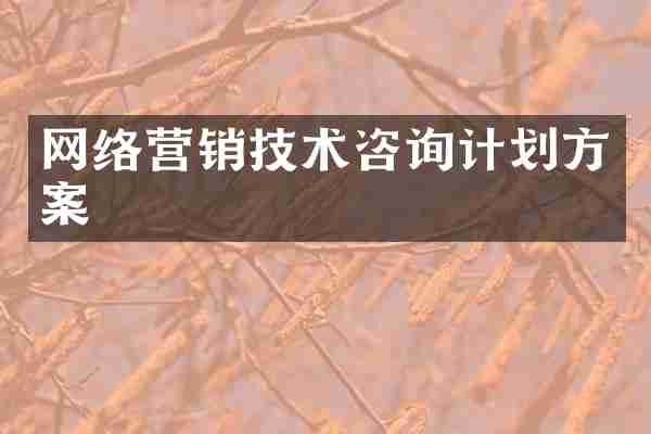 网络营销技术咨询计划方案