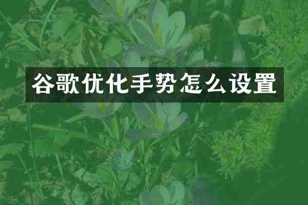 谷歌优化手势怎么设置