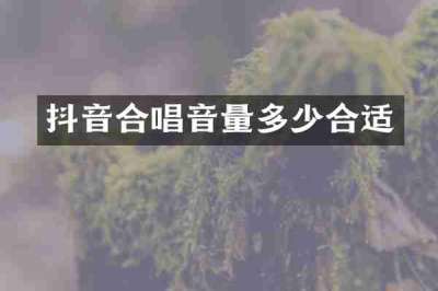 抖音合唱音量多少合适