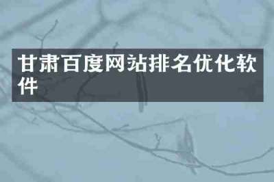 甘肃百度网站排名优化软件