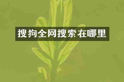 搜狗全网搜索在哪里