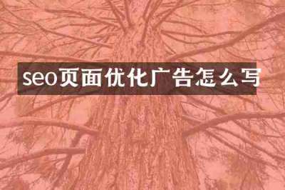 seo页面优化广告怎么写