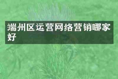 端州区运营网络营销哪家好