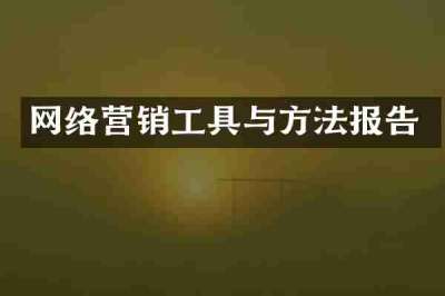 网络营销工具与方法报告