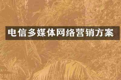 电信多媒体网络营销方案