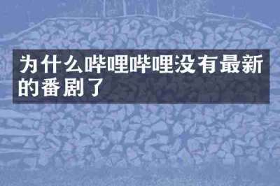 为什么哔哩哔哩没有最新的番剧了