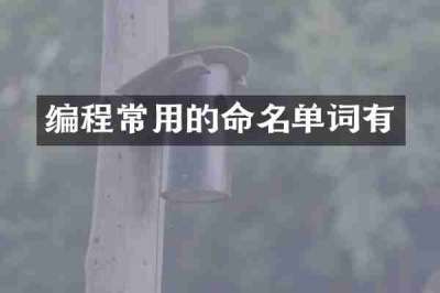 编程常用的命名单词有