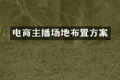 电商主播场地布置方案