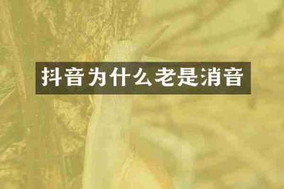 抖音为什么老是消音