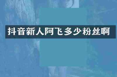 抖音新人阿飞多少粉丝啊