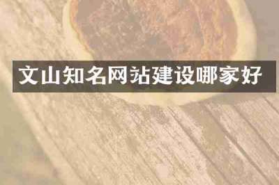 文山知名网站建设哪家好