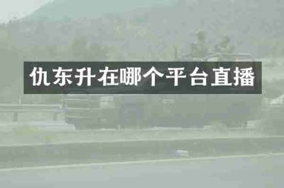 仇东升在哪个平台直播