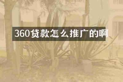 360贷款怎么推广的啊
