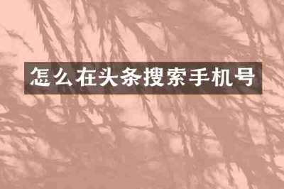 怎么在头条搜索手机号