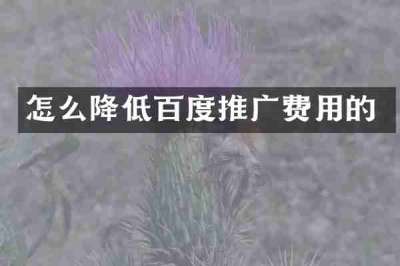 怎么降低百度推广费用的
