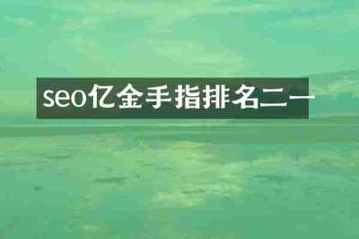 seo亿金手指排名二一