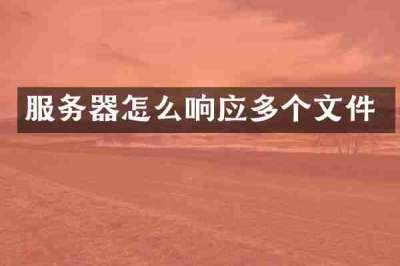 服务器怎么响应多个文件