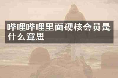 哔哩哔哩里面硬核会员是什么意思