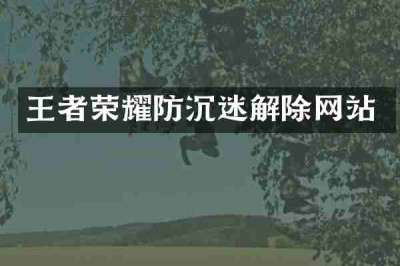 王者荣耀防沉迷解除网站